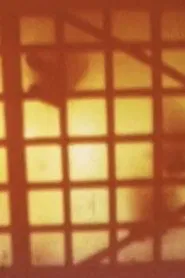 Steps Through The Forest movie poster