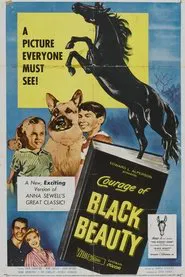 Courage of Black Beauty movie poster