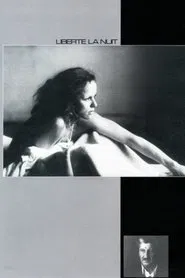 Liberty at Night movie poster