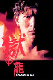 Poster do filme Dragon in Jail