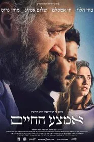 Midlife movie poster