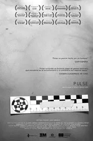 Poster do filme Pulse