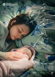 Poster do filme Montages of a Modern Motherhood
