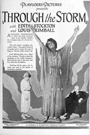 Through the Storm movie poster