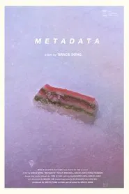Metadata movie poster