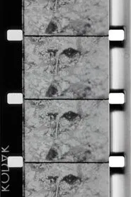 La source de la Loire movie poster