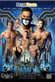 The Black Panda 1 movie poster