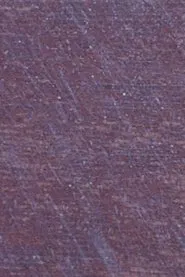 Untitled movie poster