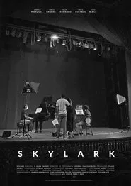 Poster do filme Skylark