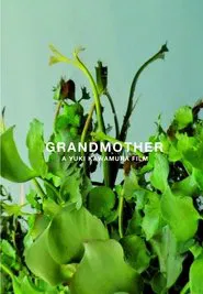 Grandmother movie poster
