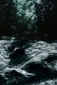 Ceiba movie poster