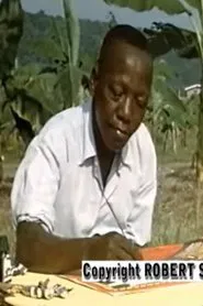 Clément-Marie Biazin, peintre-conteur africain movie poster