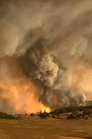 The West is Burning movie poster