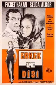 Poster do filme Erkek ve Dişi