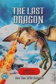 The Last Dragon tv show poster