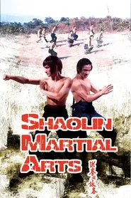 Shaolin Martial Arts movie poster