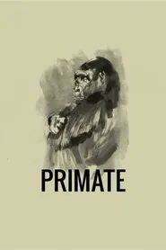 Poster do filme Primate