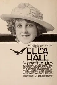The Spotted Lily movie poster