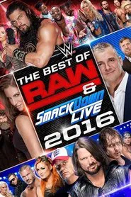 WWE Best of Raw & SmackDown Live 2016 movie poster