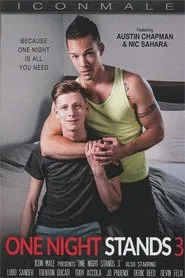 Poster do filme One Night Stands 3