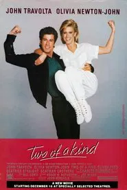 Two of a Kind movie poster