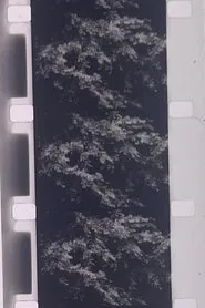 Plotting the Grey Scale: 2 or 3 Quick Traverses movie poster