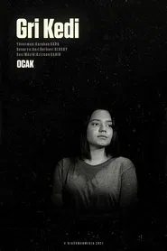 Gri Kedi tv show poster