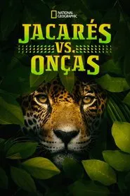 Poster do filme Jacarés vs. Onças