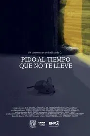 I Plead Time Does Not Take You Away movie poster