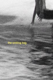 the smiling bag movie poster
