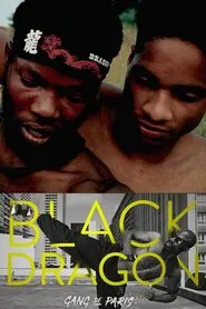 Gang de Paris : Black Dragon tv show poster