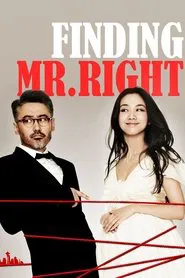 Finding Mr. Right movie poster