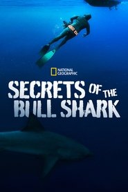 Secrets of the Bull Shark movie poster