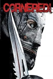 Cornered! movie poster