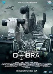 Operation Cobra tv show poster