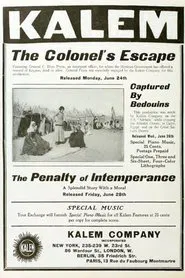 Poster do filme The Penalty of Intemperance