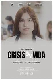 Quarter Life Crisis movie poster