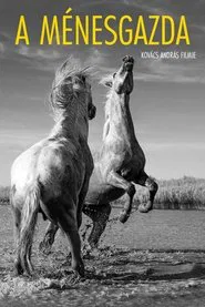 The Stud Farm movie poster