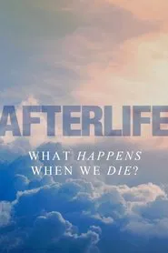Afterlife movie poster
