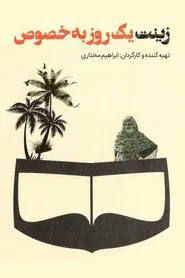 Zinat A Special Day movie poster