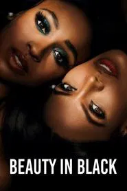 Tyler Perry's Beauty in Black tv show poster