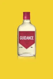 Poster do filme Guidance