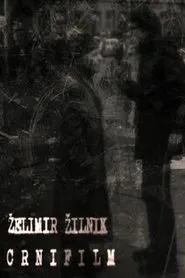 Black Film movie poster
