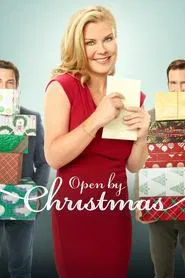 Open by Christmas movie poster