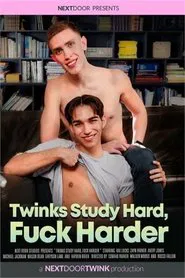 Poster do filme Twinks study hard, fuck harder