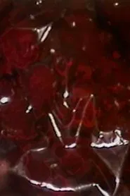 Poster do filme The Negotiating Table