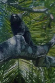 7FF on¢idia movie poster
