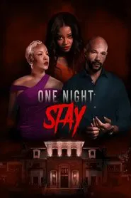 One Night Stay movie poster