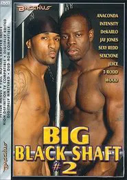 Poster do filme Big Black Shaft 2