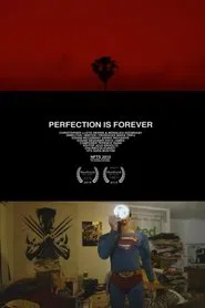 Perfection Is Forever movie poster